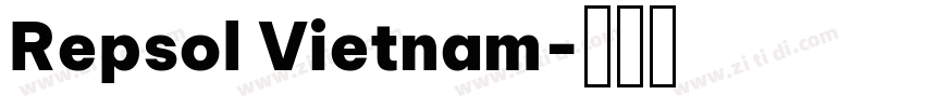Repsol Vietnam字体转换